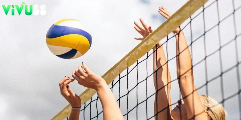 Mẹo chơi cá độ bóng chuyền từ các lão làng